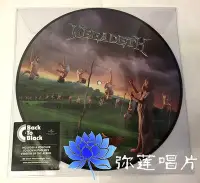 在飛比找Yahoo!奇摩拍賣優惠-金屬！黑膠Megadeth Youthanasia LP唱片