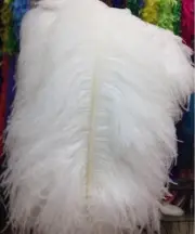 5 Pcs White 28-30 inches Large Ostrich Feather/Plume/Wing/ Horse Feathers