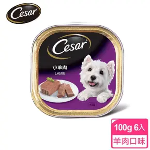 【Cesar西莎】精緻/風味餐盒 100g*24入 寵物/狗罐頭/狗食(任選)