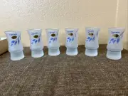 6 Al-Rama Frosted Shot Glass Set Hand Painted In Israel New In Original Box