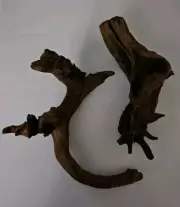 Drift Wood For Using With Aquariums