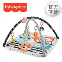 在飛比找momo購物網優惠-【Fisher price 費雪】視覺啟蒙健身器(健力架/健