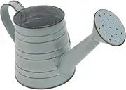 1pc Decorative Vase Garden Watering Can Metal Watering Can French Flower Bucket Pots Vintage Bucket Farmhouse Vase Farmhouse French Bucket Mini Cactus Planter Iron Office Oval/1102
