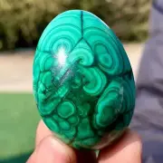 119G Natural glossy Malachite egg transparent cluster crystal mineral sample