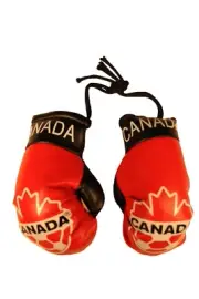 CANADA National Soccer Team Logo Mini BOXING GLOVES .. New
