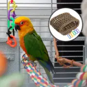 Hammock Toys Parrot Swing for Cage Bird Hanging Stand Perch Playstand