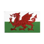 Giant Welsh Flag 2X3FT Wales Dragon CYMRU Rugby Football Fan Support Outdoor