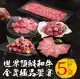世界TOP和牛金賞極品饗宴(5盒/組；燒烤/火鍋/3-4人份)
