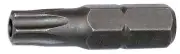 Alfa Tools HSB16982 TT55 x 1-1/4" x 5/16" Hex Tamperproof Torx Bit (20 Pack)