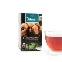 在飛比找Yahoo!奇摩拍賣優惠-斯里蘭卡之帝瑪紅茶Dilmah~~帝瑪紅茶水果茶系列之焦糖奶