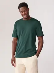 Green Pine Regular Fit Essential Crew Neck Cotton T-Shirt (N24872) | $15