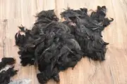 Alpaca Wool Fiber Fleece Spin Felting Black & Browns 2nds 7.3oz Sissy