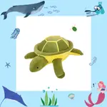 【高雄自由潛水中心】海龜 玩偶 抱枕 小物