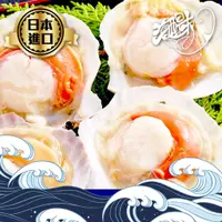 在飛比找蝦皮購物優惠-【海醍味】日本北海道扇貝 500g 半殼扇貝 帶殼扇貝 帆立