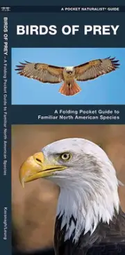 Birds of Prey Eagles Falcons - Emergency Survival Guide Bug Out Bag Kit Book