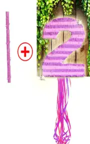 Number Two 2 Pink Purple Decoration Pinata Piñata PULL STRING OR HIT birthday