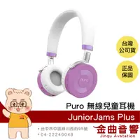 在飛比找蝦皮商城優惠-Puro JuniorJams Plus 紫色 安全音量 藍