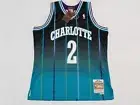 [Sz M] Mitchell & Ness Larry Johnson Charlotte Hornets Swingman Fadeaway Jersey