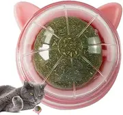 Cat Catnip Balls | Wall Catnip Balls for Pet Cat Dental Teeth Cleaning,Healthy Kitten Chewing Licking Biting Rotary Toys for Indoor