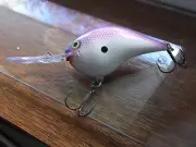 Custom Painted Rapala DT-16,Purple Haze