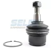 Front Lower Radius Arm Ball Joint X 2 for Ford Territory SX RWD 05/2004-03/2009 (for: Ford)