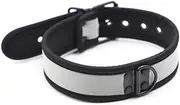 Restraint Bondage Neck Collar Buckle Ring Adjustable Size for Men Women (grey)
