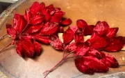 vintage millinery 1940s velvet leaves hand wrapped 1 spray scarlet Japan