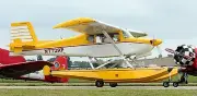 Murphy Rebel Float Elite Airplane Desktop Kiln Dry Wood Model Free Shipping