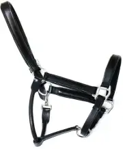 Leather Full Padded Halter Horse Black Adjustable Head collar Color Black ~Brown