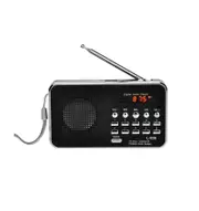 Portable Digital Audio Player HiFi Music Speaker Support FM Radio TF SD Card USB AUX w/ Display