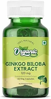Organic Zing Ginkgo Biloba Extract 120mg Big Bottle 30 Capsules