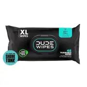 DUDE Wipes Flushable Wet Wipes Dispenser, Mint Chill, 48Count - Scented Wet Wipe