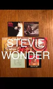 Stevie Wonder fridge magnets