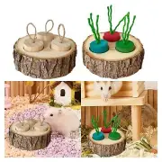Hamster Foraging Toy Interactive Pet Supplies Feeding for Gerbil Bunny Mouse