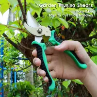 在飛比找蝦皮購物優惠-Pruner Garden Cutters Professi