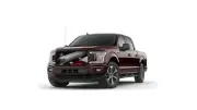 Grille Adz® Premium 2018-19 F150 WE THE PEOPLE Bug Screen BS-902-25-WTP