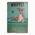 2x Tin Sign WHIPPET AMIABLE GENTLE GULF RED Sprint Drink Bar Whisky Rustic Look