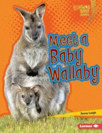 在飛比找博客來優惠-Meet a Baby Wallaby