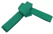 Size 5 Green Single Wrap Belt Karate/Taekwondo/Judo/Kendo/Hapkido 4cm Wide