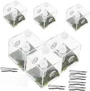 Abaodam 2Sets Transparent Acrylic Jumping Spider Enclosure Feeding for Climbing Pets with Ventilation Durable and Practical Reptile Container