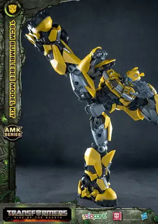 Yolopark AMK 變形金剛 萬獸崛起 大黃蜂 半組裝模型 【鯊玩具】