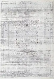 Celestial Traditional Grey Multi Rug