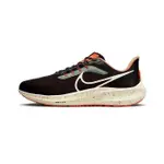 AIR ZOOM PEGASUS 39 DX6039-071尺寸39-45