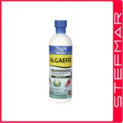 API Pond Care Algaefix 473ml