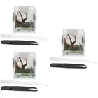 3x Spider Cage Hatching Container Reptile Terrarium Tank Live Jumping Spider