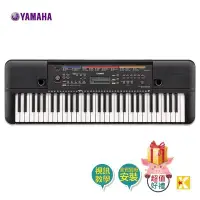 在飛比找Yahoo!奇摩拍賣優惠-【金聲樂器】Yamaha PSR-E263 電子琴 PSR 