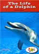 The Life of a Dolphin