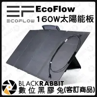 在飛比找蝦皮購物優惠-數位黑膠兔【 EcoFlow 160W 太陽能板 】太陽能板