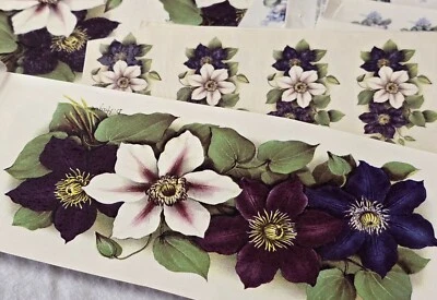 Vintage Decals Transfers Waterslides Ceramics Craft FLORAL Lot #39