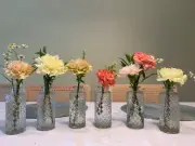 6PCS Same Small Flowers Vases for Mini Clear Glass Bud 6"L x 1"W x 7"H